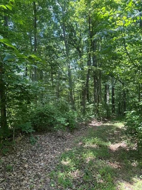 5.13 Acres of Land for Sale in Whitleyville, Tennessee - Whitleyville, Tennessee, 38588