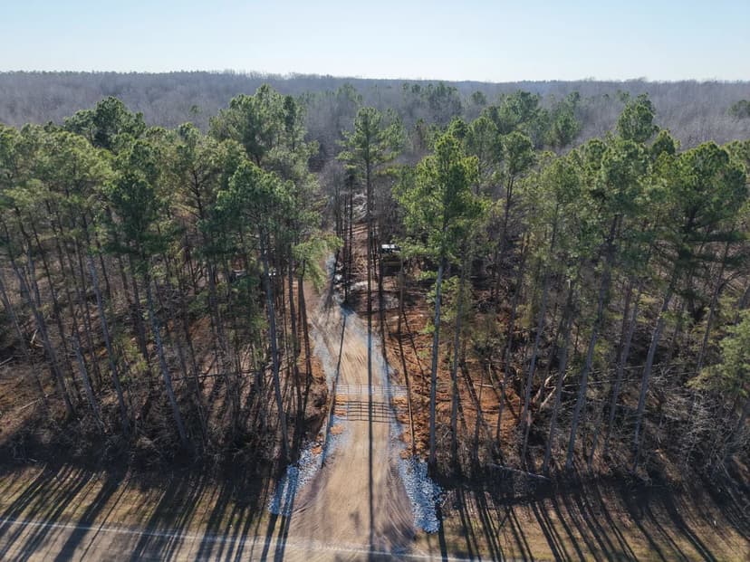 74 Acres in Hardeman County, TN