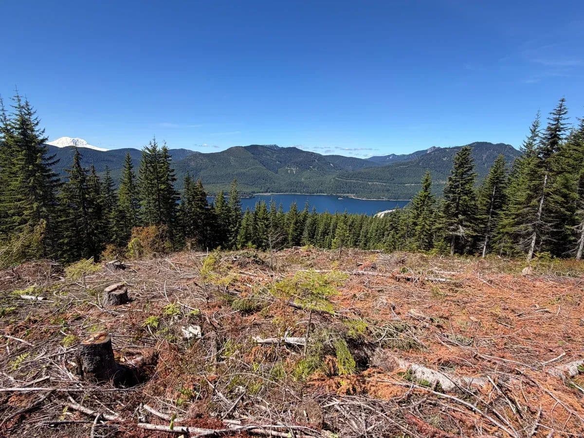 FS RD 124 - Snoqualmie Pass, Washington, 98068