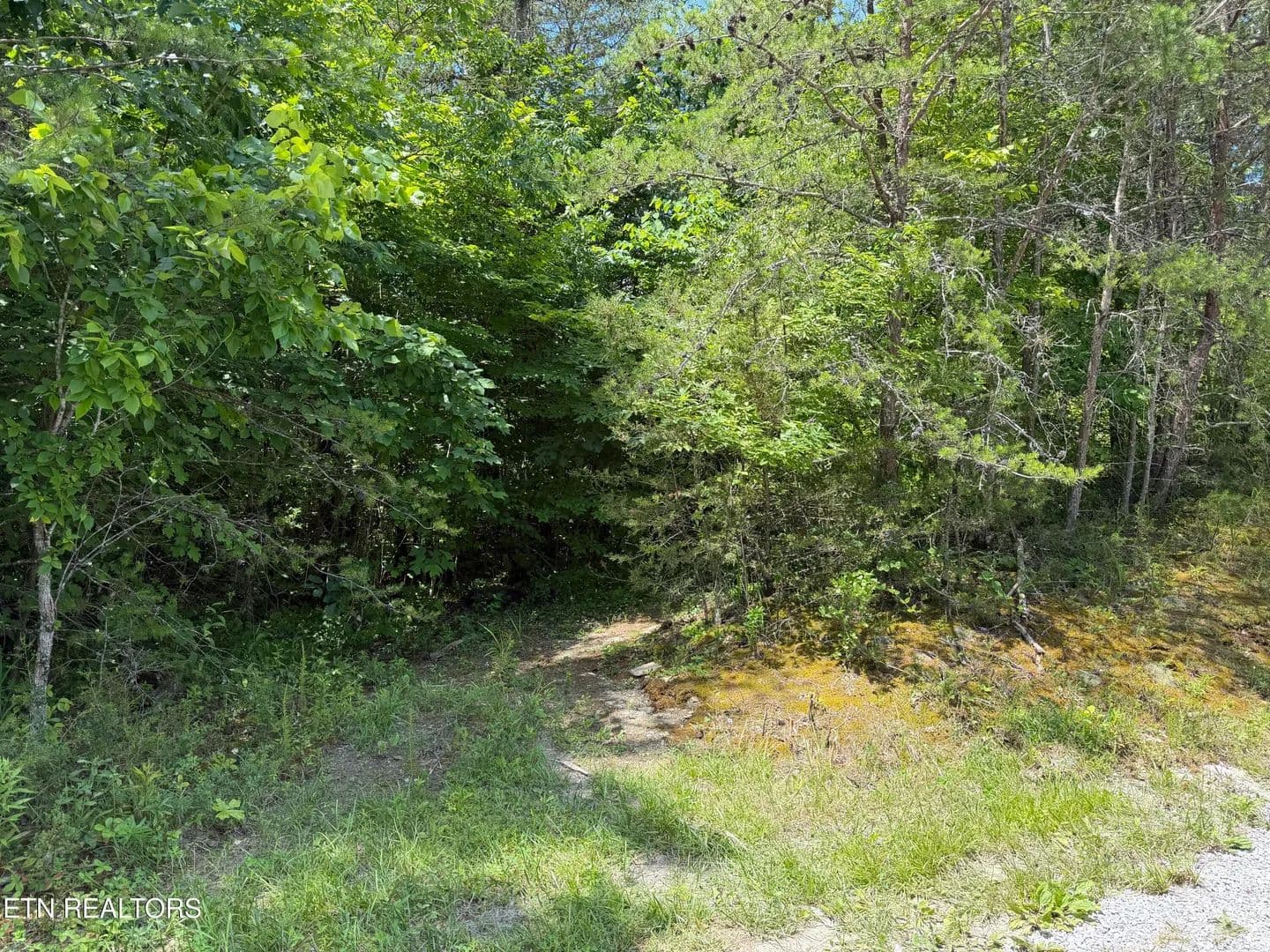 34 Acres of Land for Sale in Tazewell, TN - Tazewell, Tennessee, 37879