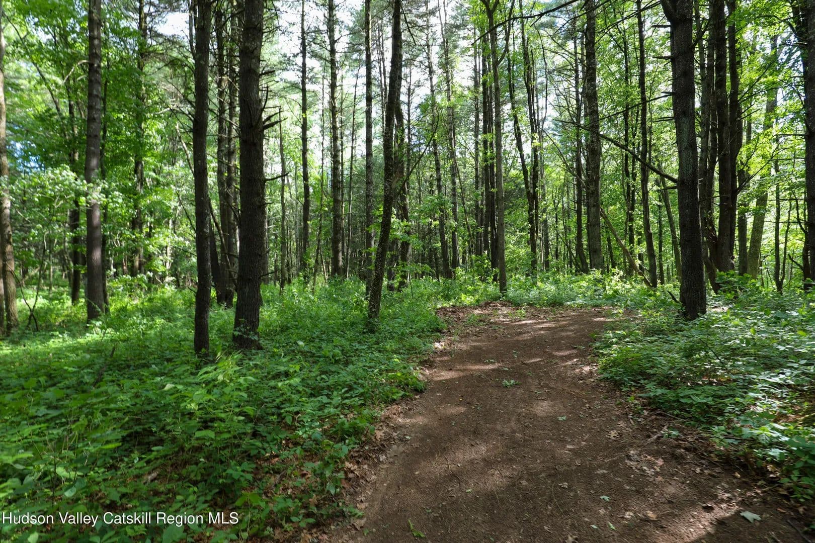 12.25 Acres of Land for Sale in Catskill, NY - Catskill, New York, 12414