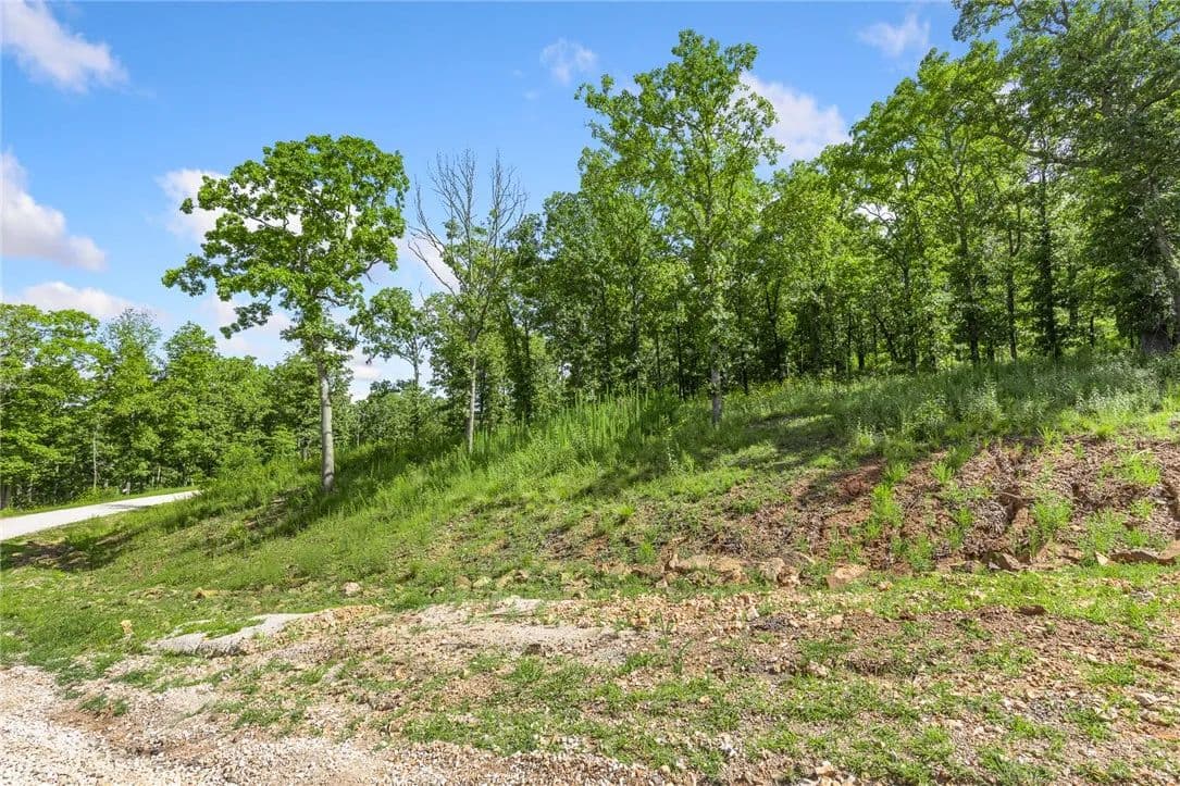 1.1 Acres of Land for Sale in Harrison, Arkansas - Harrison, Arkansas, 72601