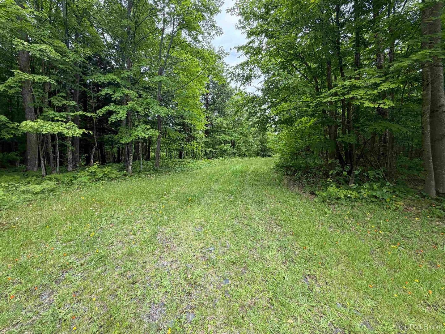 25.8 Acres of Land for Sale in Skanee, MI - Skanee, Michigan, 49962