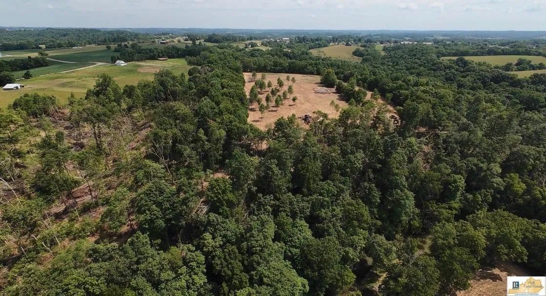 82.44 Acres of Land for Sale in Glasgow, Kentucky - Glasgow, Kentucky, 42141