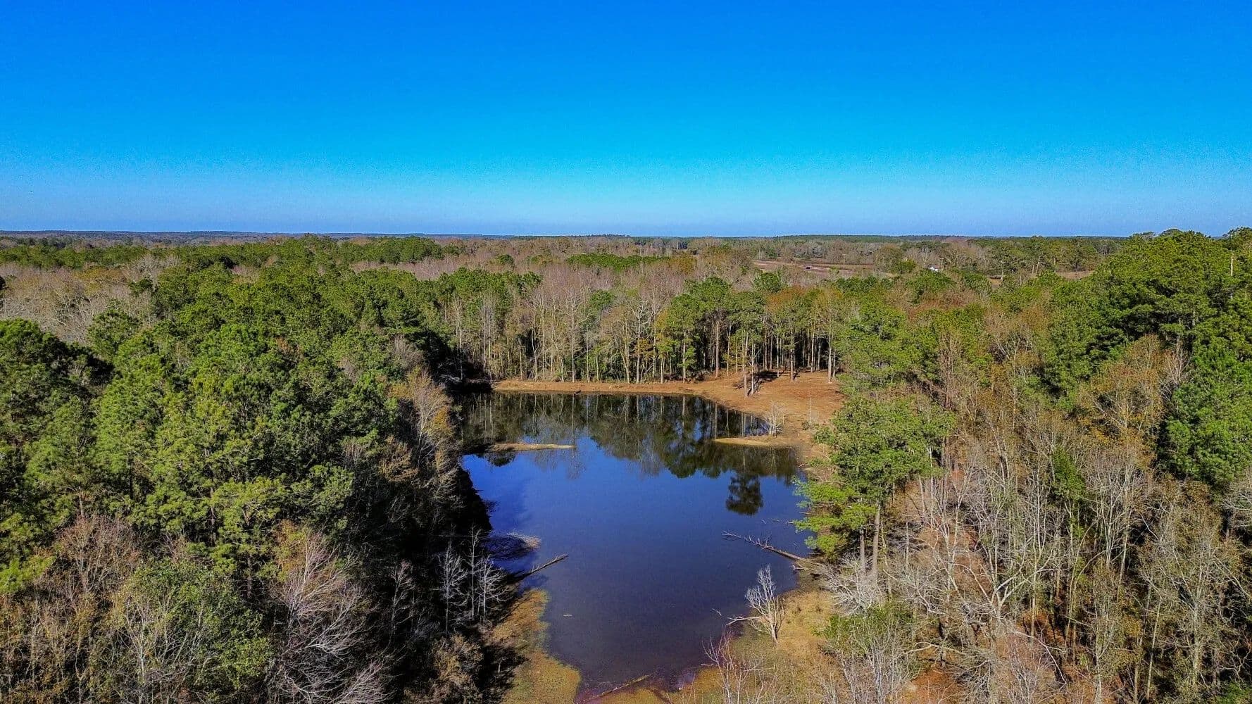 Opp Farm Land, Lake, Timber and Hunting Property - Opp, Alabama, 36467