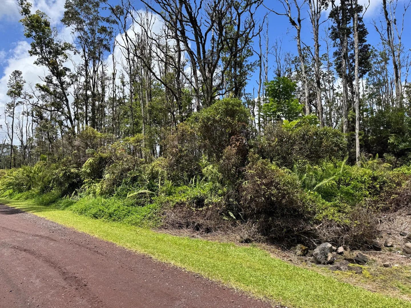 0.28 Acres of Land for Sale in Pahoa, Hawaii - Pahoa, Hawaii, 96778