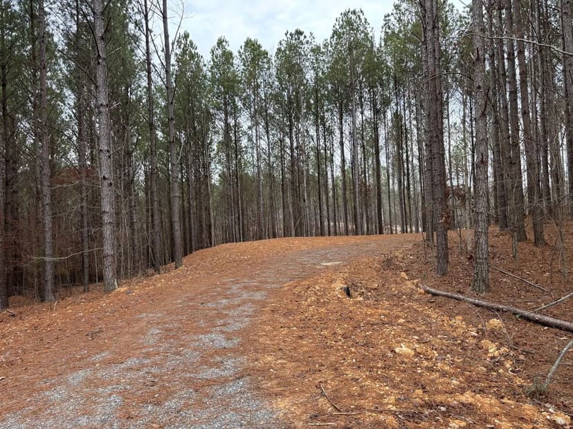 3.9 +/- acres on Spring Creek Cherokee County AL