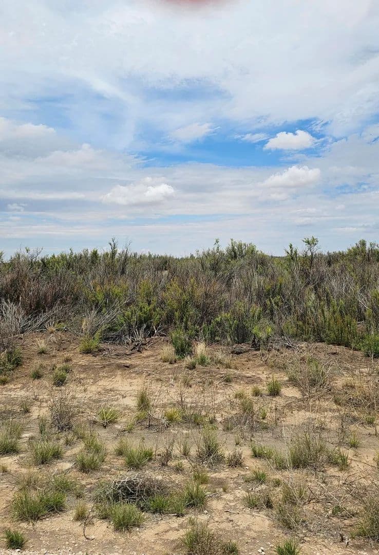 20 Acres of Land for Sale in Brownfield, Texas - Brownfield, Texas, 79316