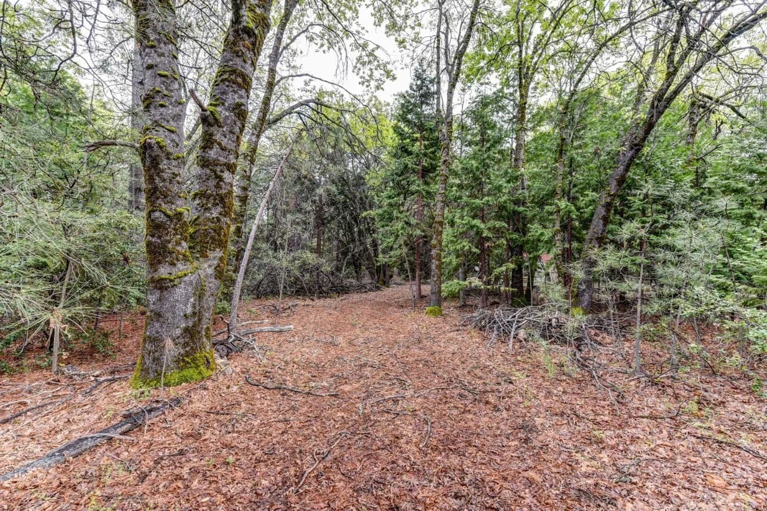 Property from 14481 Bobbie Lane - KW - Pioneer, California, 95666