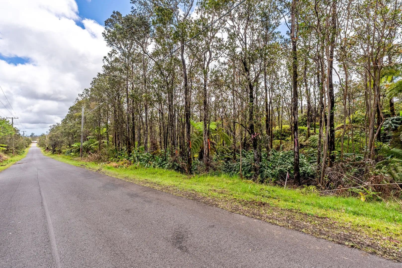 Vacant Land in Volcano - Volcano, Hawaii, 96785