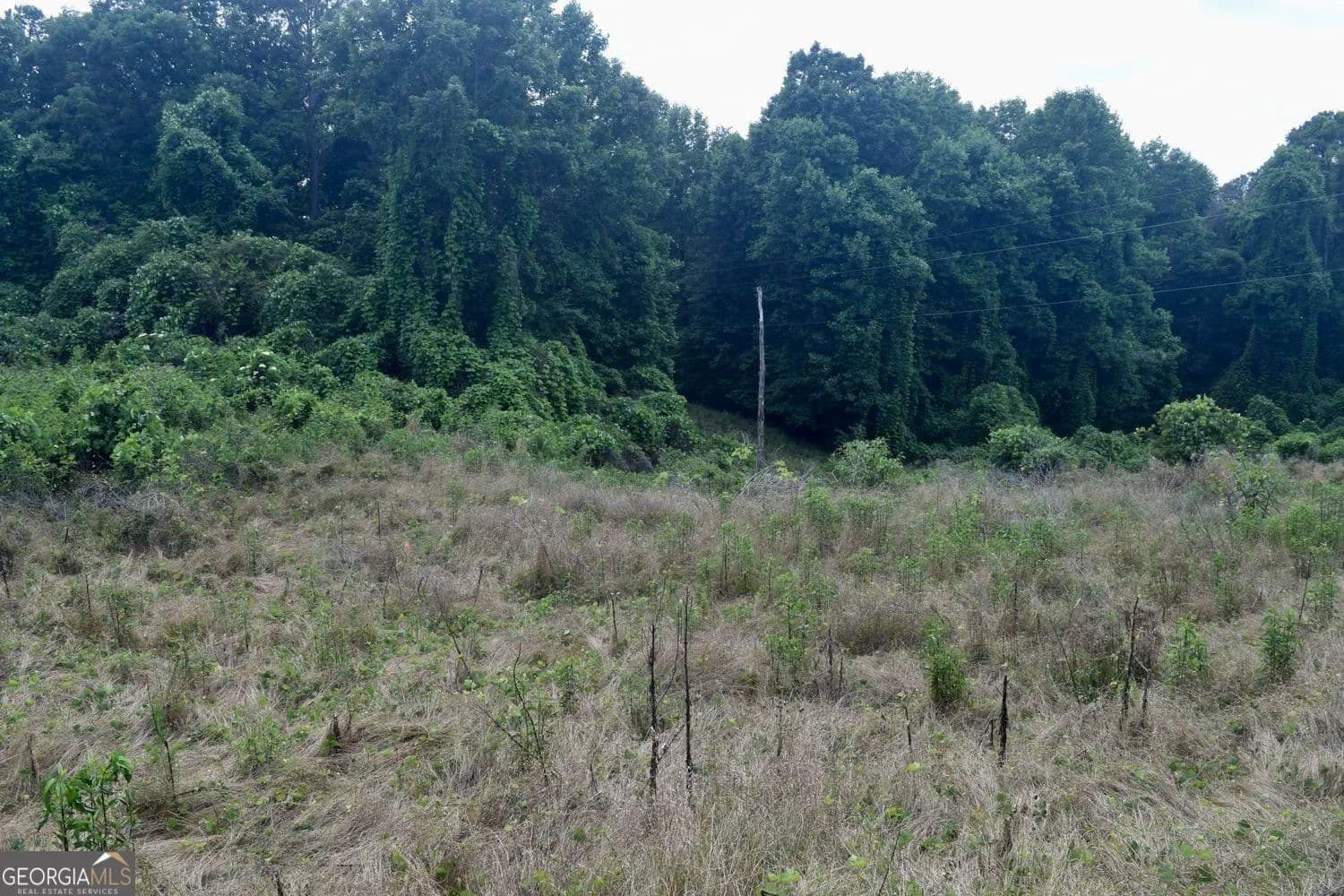 Property from 792 Lower Dowda Mill Road - KW - Jasper, Georgia, 30143