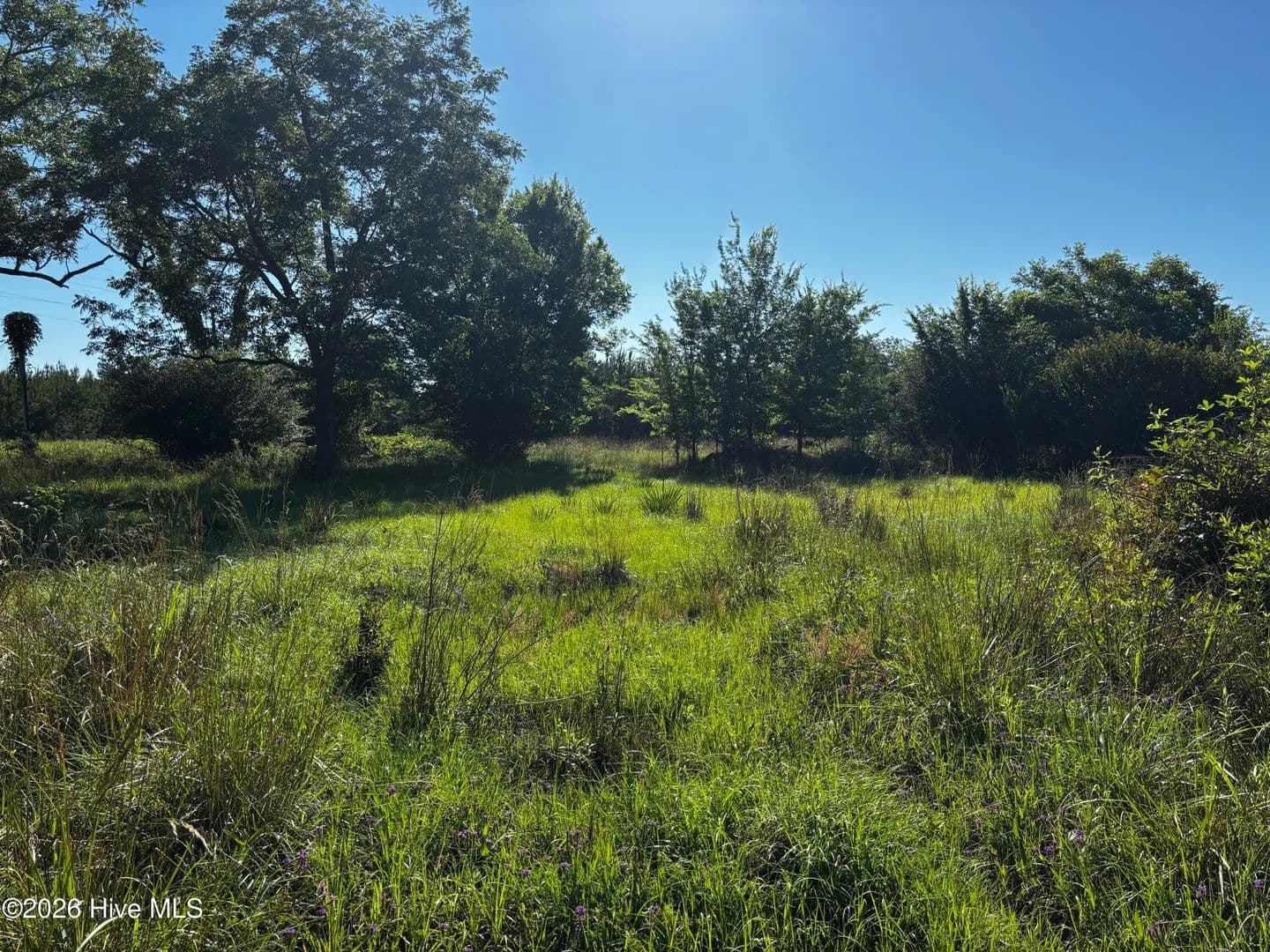 Lots & Land-Other in Wrightsville - Wrightsville, Georgia, 31096