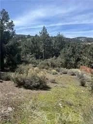 Property from 2029 Zermatt Drive - KW - Pine Mountain Club, California, 93222