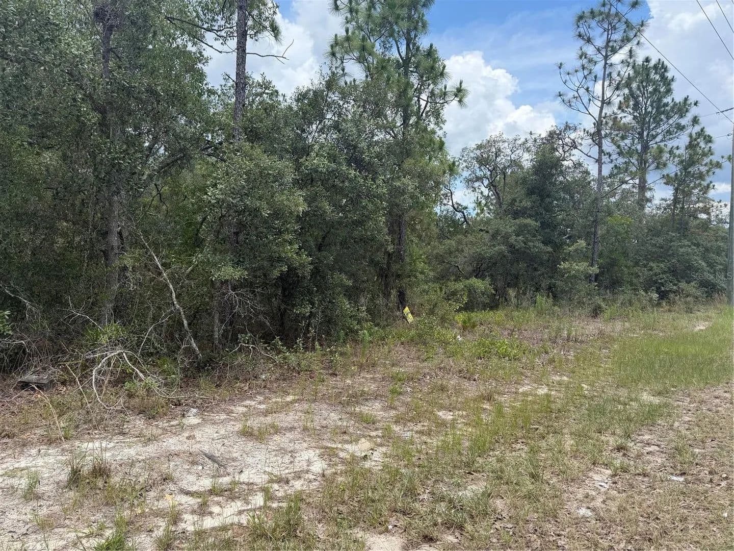 Property from 6215 S PREMIERE AVENUE - KW - Homosassa, Florida, 34446