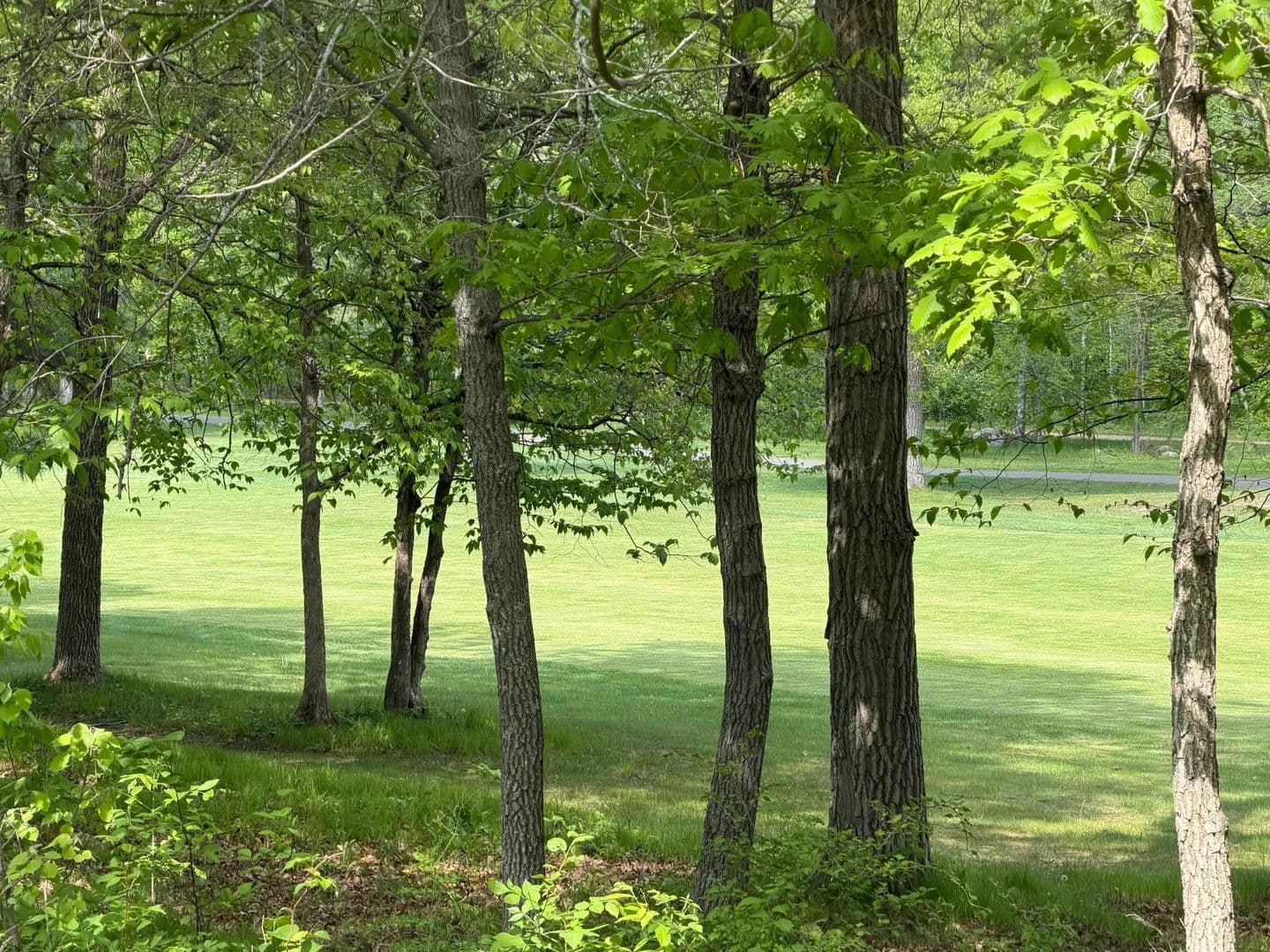 Property from TB County Road 16 - KW - Pequot Lakes, Minnesota, 56472