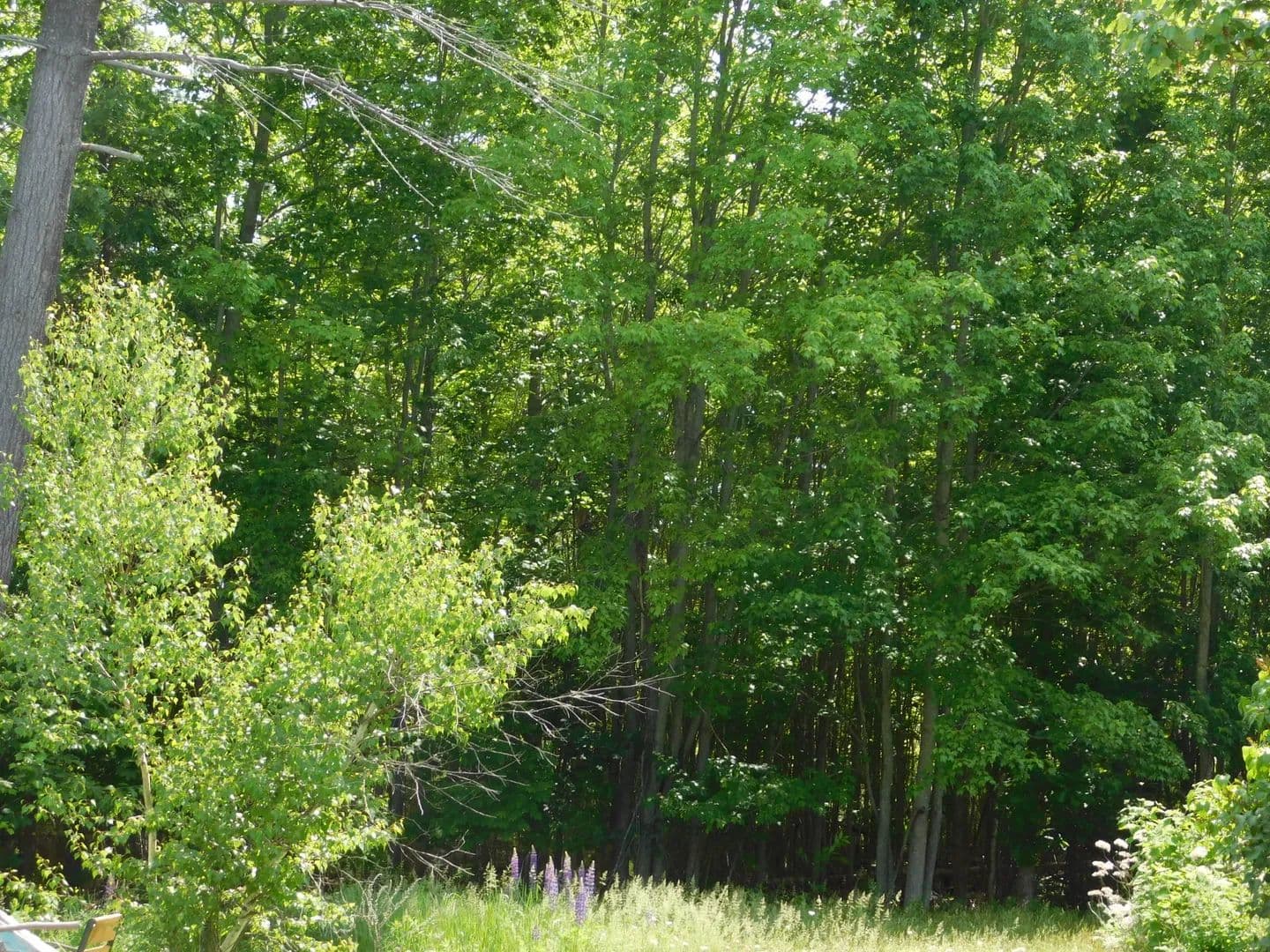 1.2 Acres of Land for Sale in Hartland, Maine - Hartland, Maine, 04943