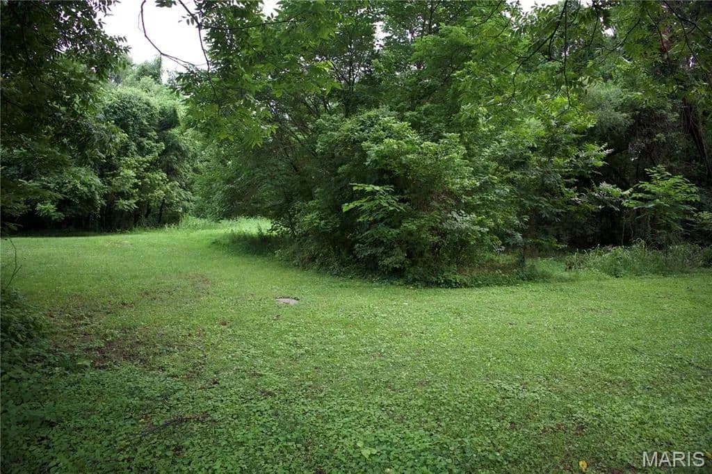 1.09 Acres of Land for Sale in Chaffee, MO - Chaffee, Missouri, 63740