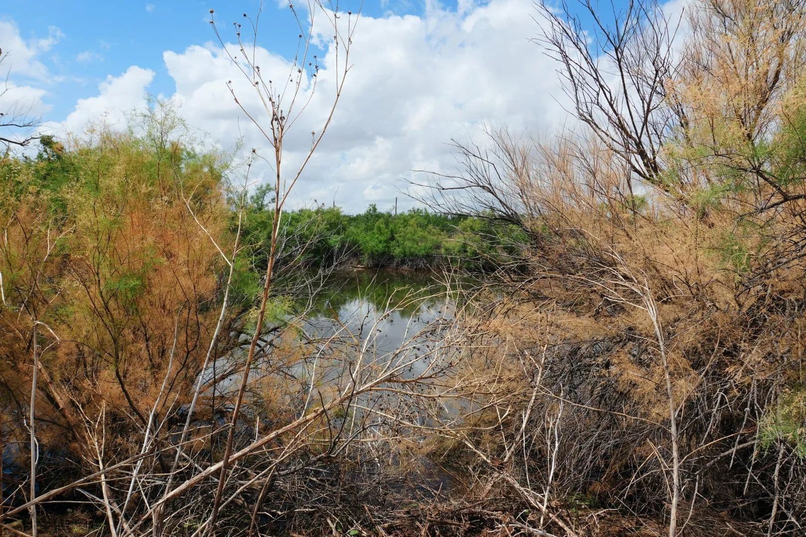 Lots & Land-Other in Post - Post, Texas, 79356