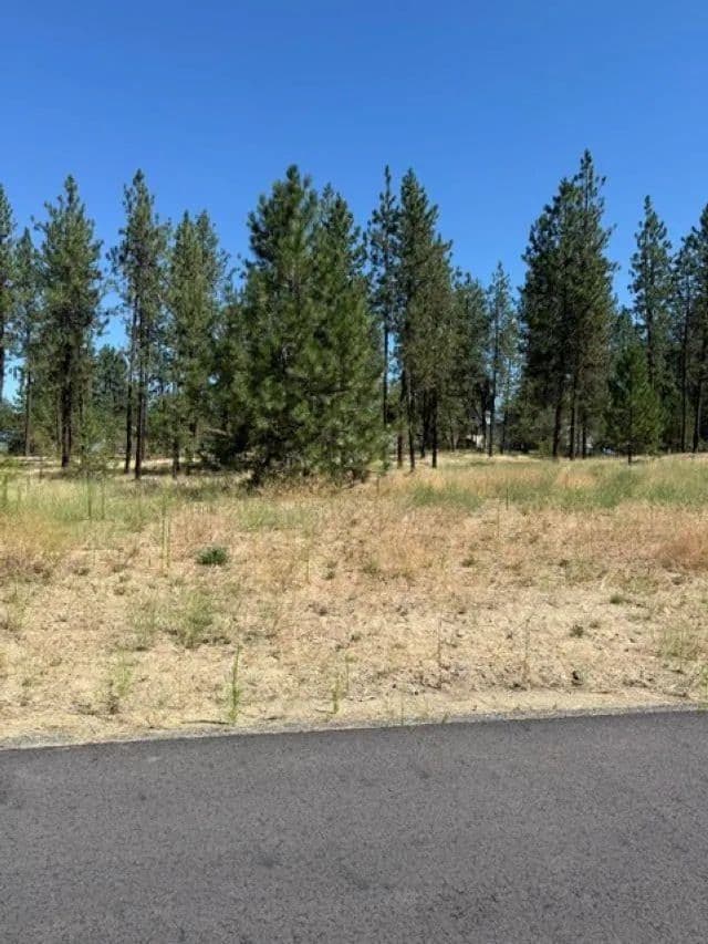 Vacant Land in Nine Mile Falls - Nine Mile Falls, Washington, 99026