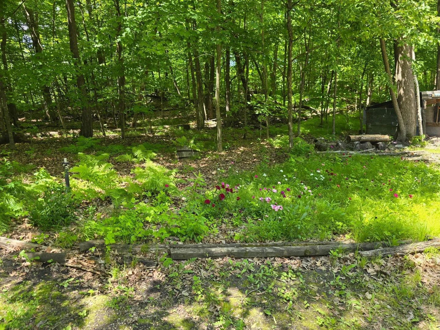 7.9 Acres of Land for Sale in Detroit Lakes, MN - Detroit Lakes, Minnesota, 56501