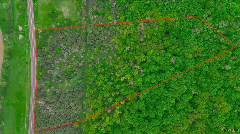 Property from VL Maples Road - KW