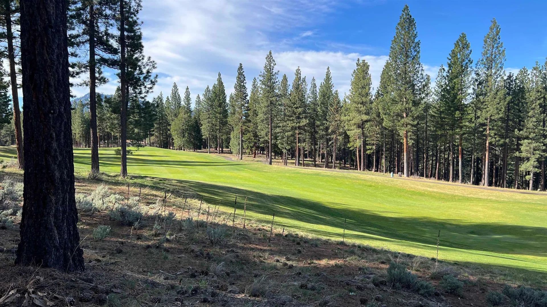 Property from 205 Red Hawk - KW - Portola, California, 96122