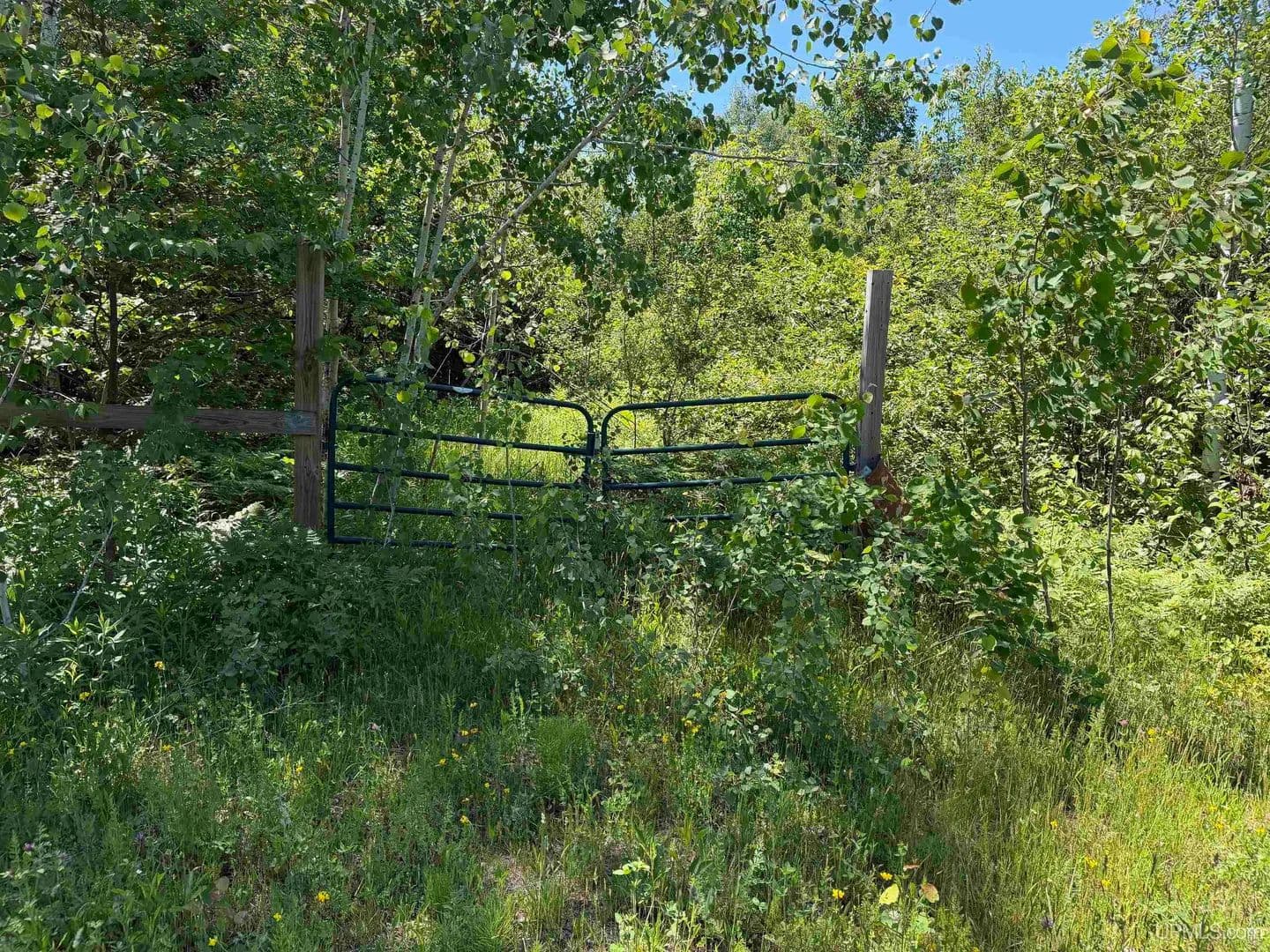 91 Acres of Land for Sale in Ontonagon, MI - Ontonagon, Michigan, 49953