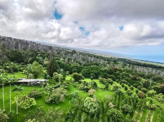 9.9 Acres of Land for Sale in Captain Cook, HI - Captain Cook, Hawaii, 96704