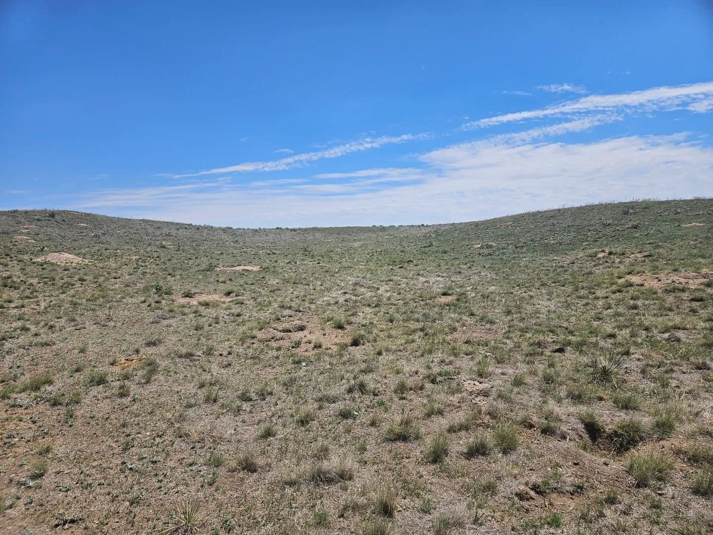 Winemiller Ranch - Sedgwick, Colorado, 80749