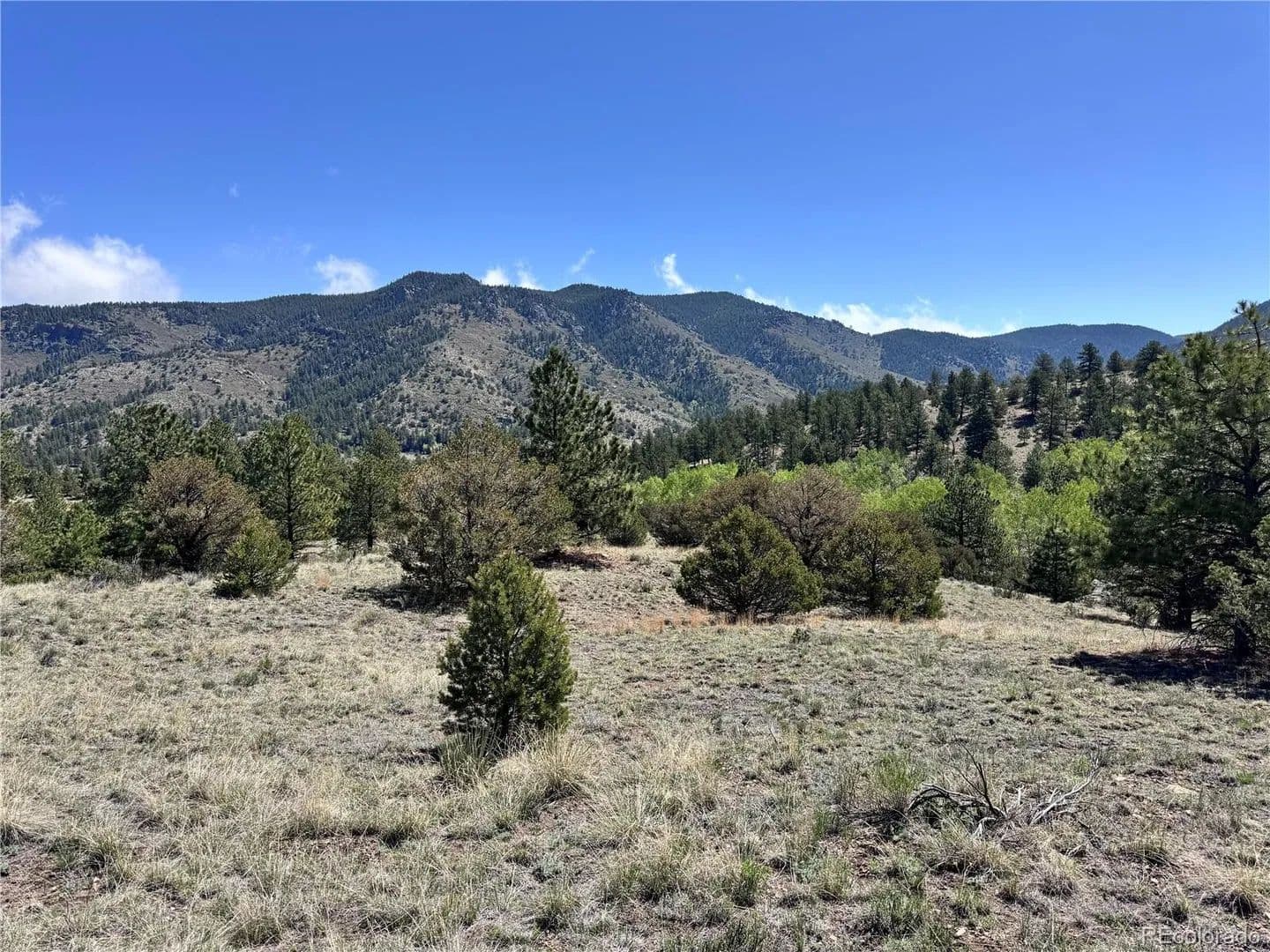 Property from Dilley Road - KW - Westcliffe, Colorado, 81252