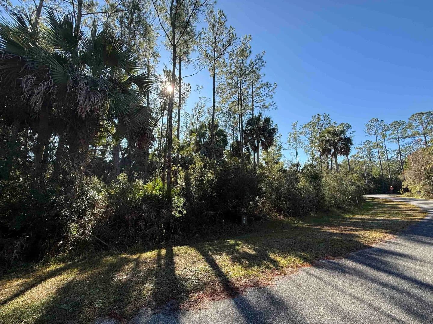 0.31 Acres of Land for Sale in St Marks, FL - Florida, 32355