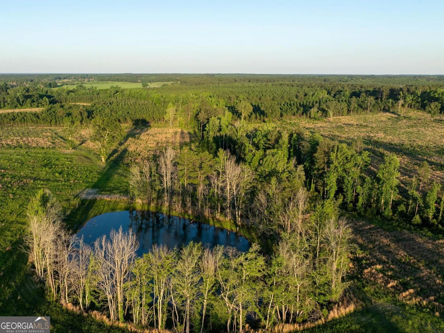 Property from 005 Beulah Road Tract 5 - KW - Sylvania, Georgia, 30467