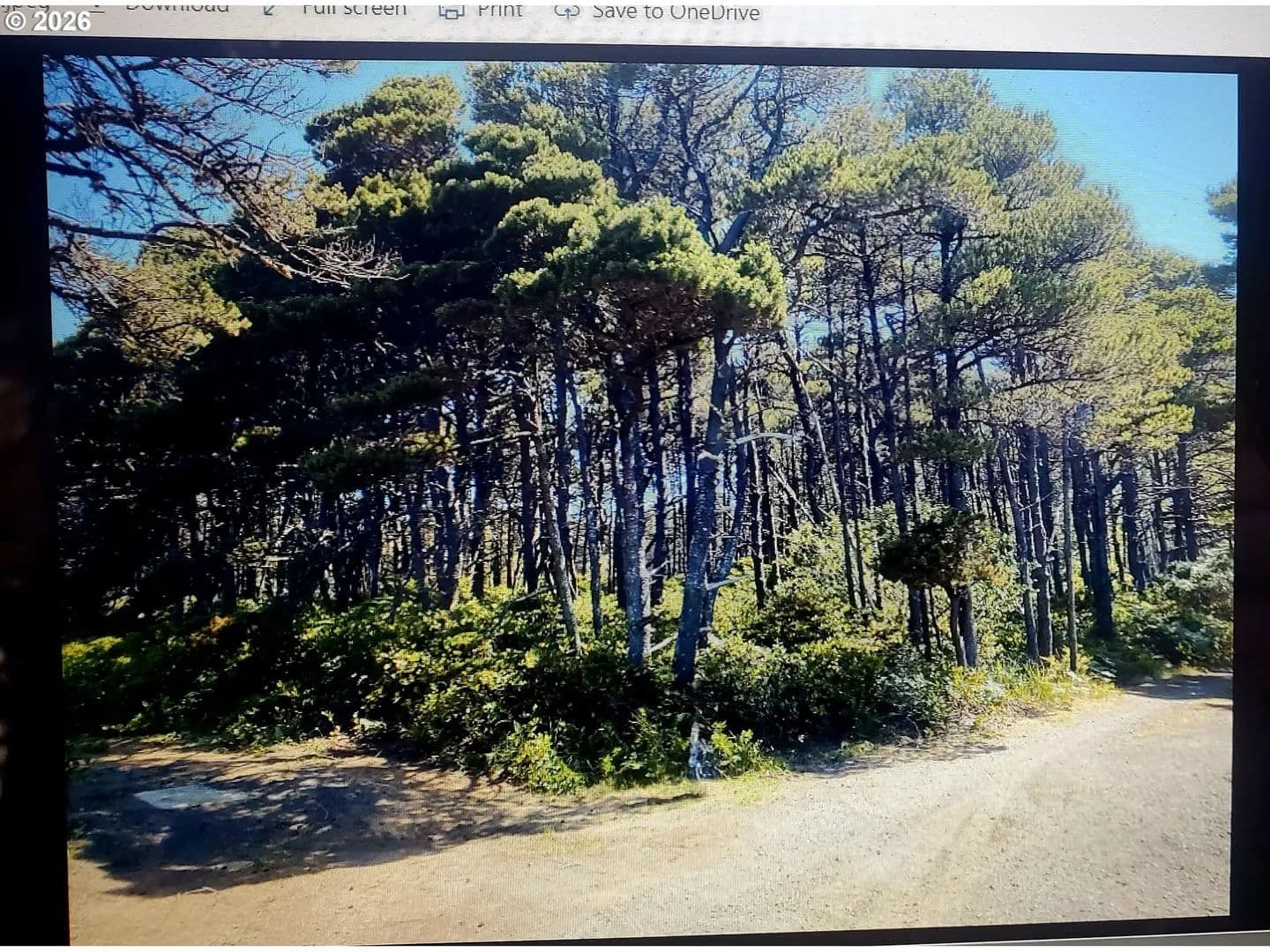 Vacant Land in Waldport - Waldport, Oregon, 97394