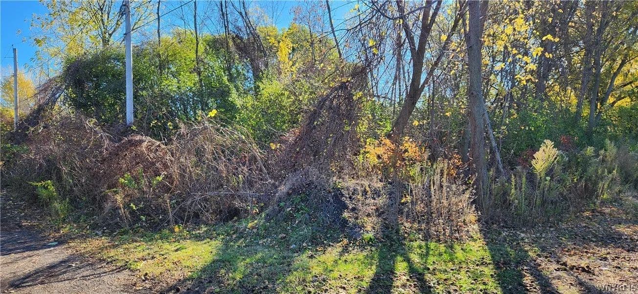 Property from 5613 Baker Avenue - KW - Niagara Falls, New York, 14304