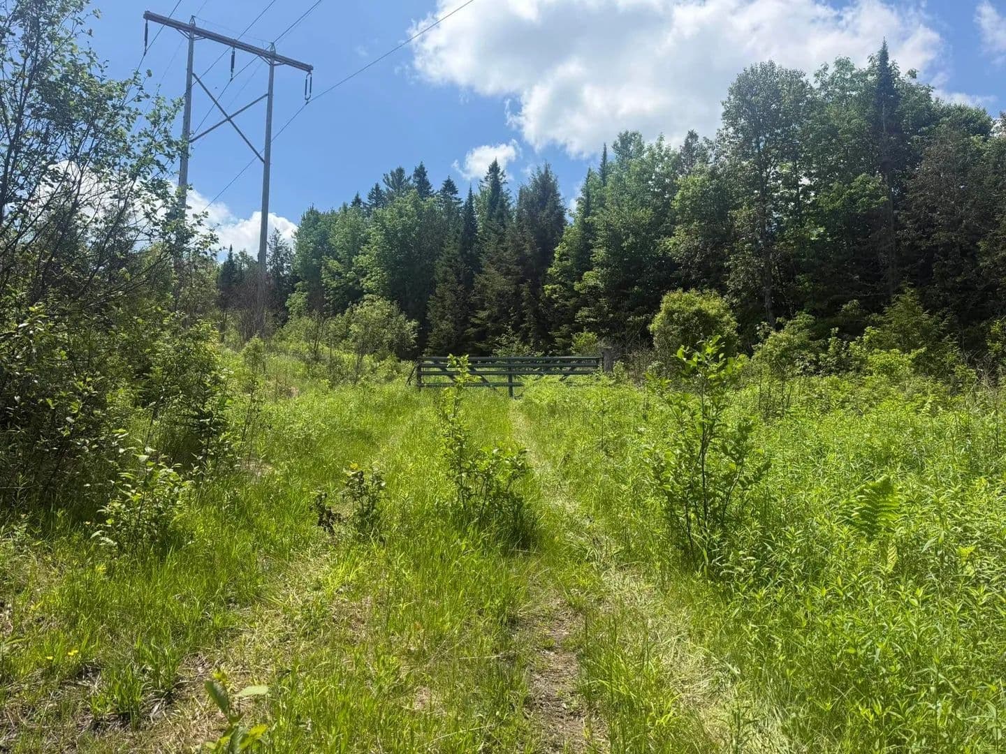 Property from 0 Roaring Brook Road - KW - Barton, Vermont, 5822