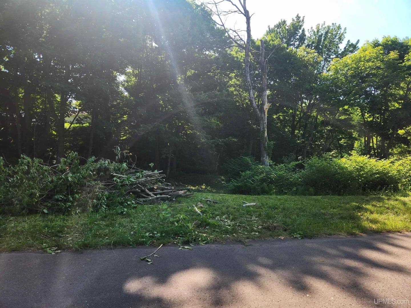 Vacant Land in Hubbell - land for sale