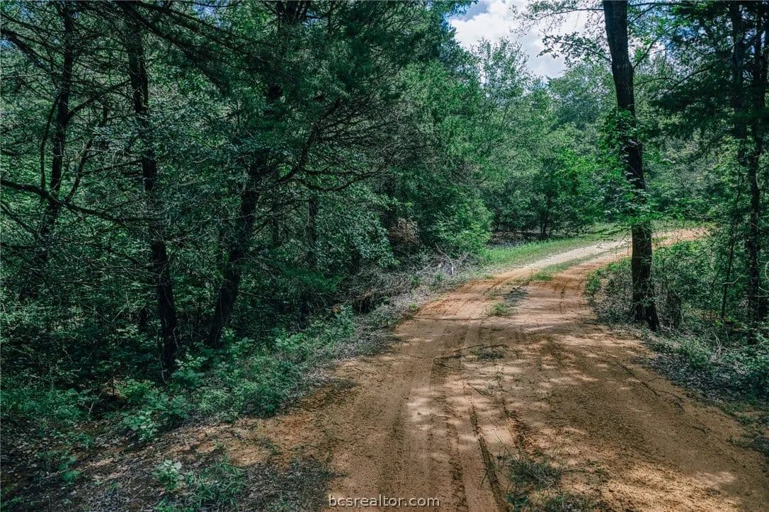 25.47 Acres of Land for Sale in Caldwell, TX - Caldwell, Texas, 77836