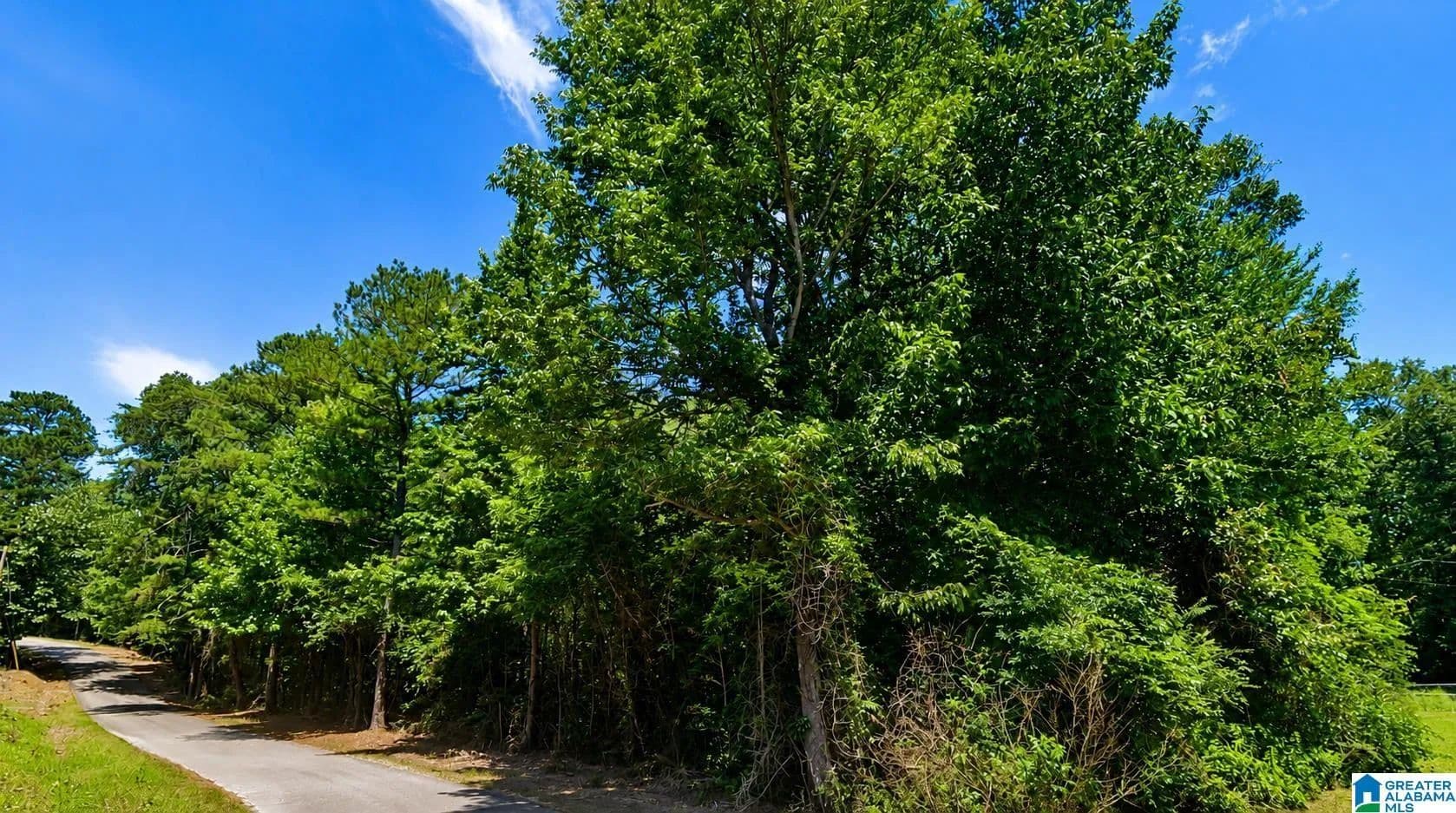 Property from SHELTERED COVE ROAD #0 - KW - Jasper, Alabama, 35504
