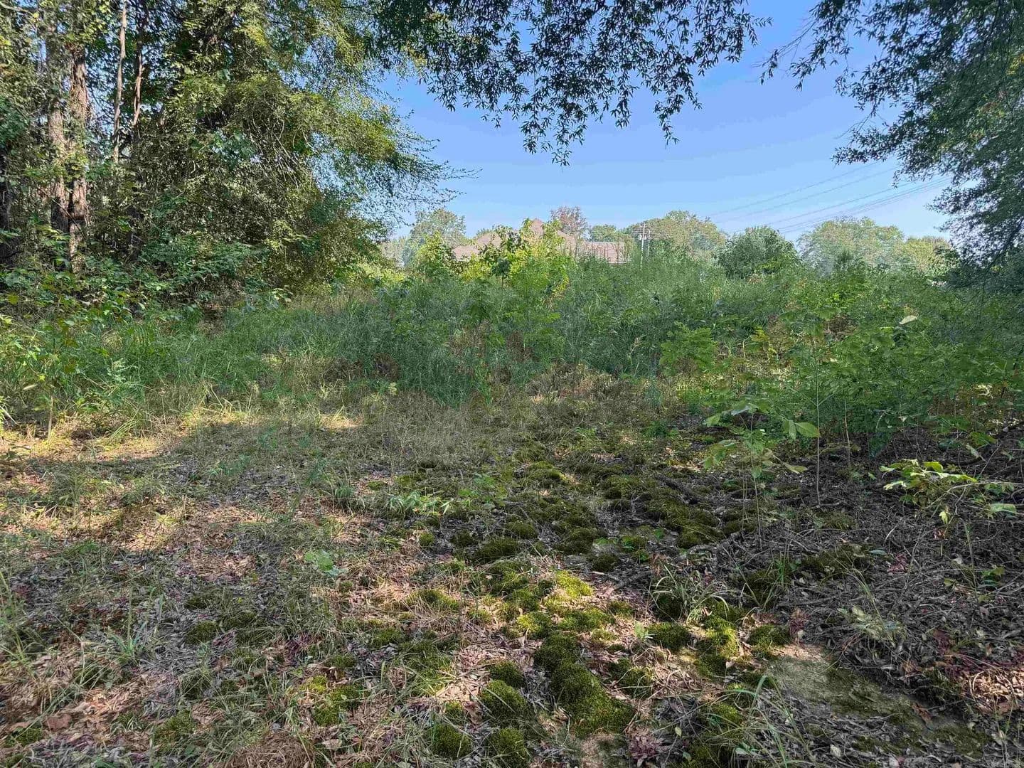 Property from 00 Calvary Circle - KW - Lonoke, Arkansas, 72086
