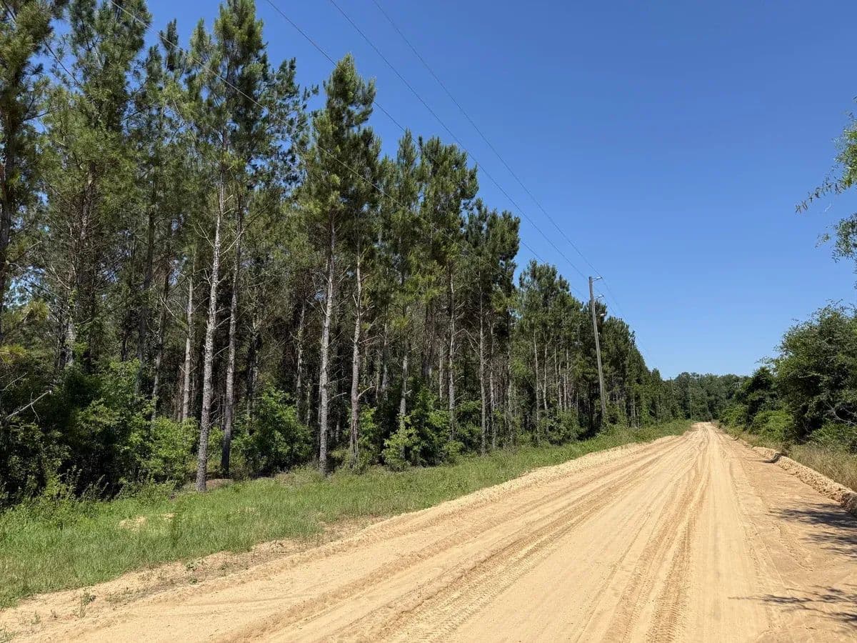 Cook - Colquitt, Georgia, 39837