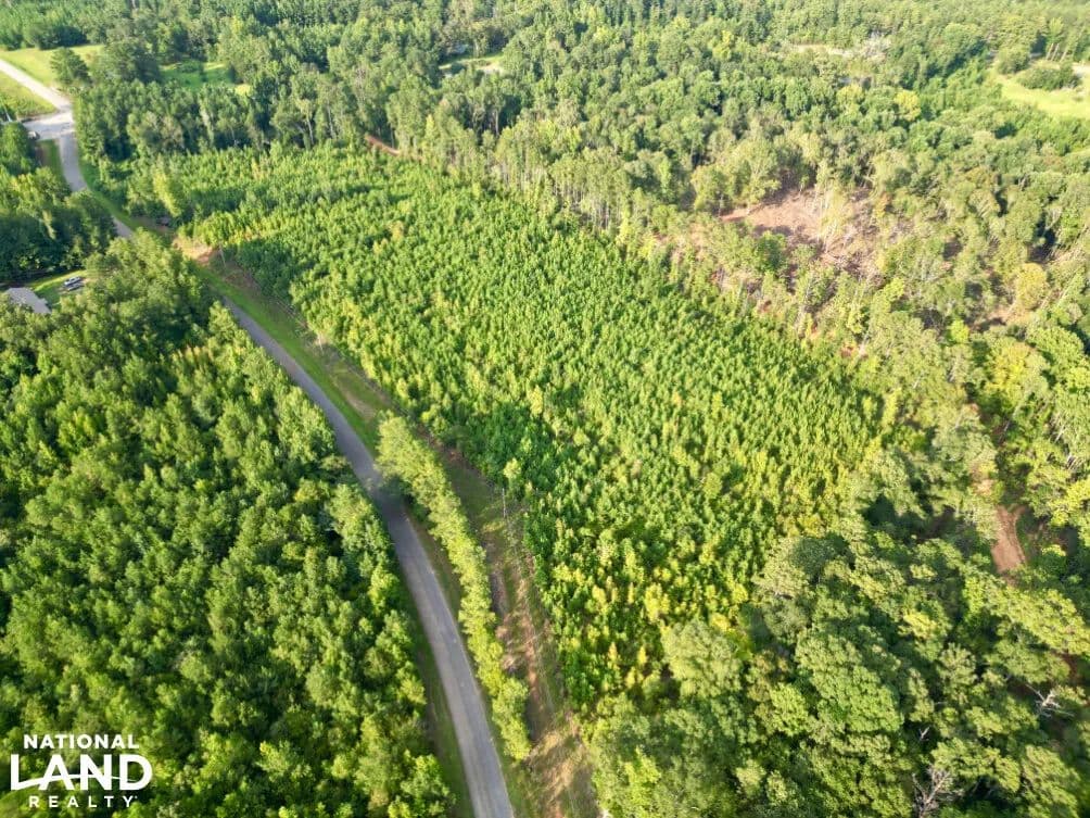 The Winn Bethlehem Road Tract - Jackson, Alabama, 36545