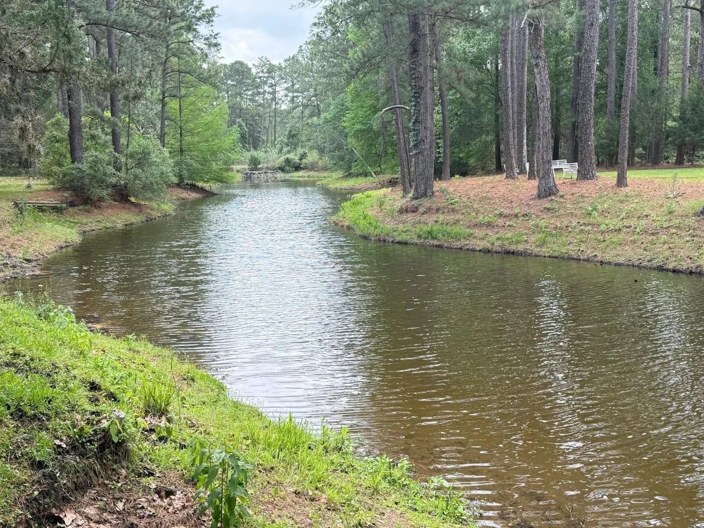 81.3 Acres of Land for Sale in New Ulm, Texas - New Ulm, Texas, 78950
