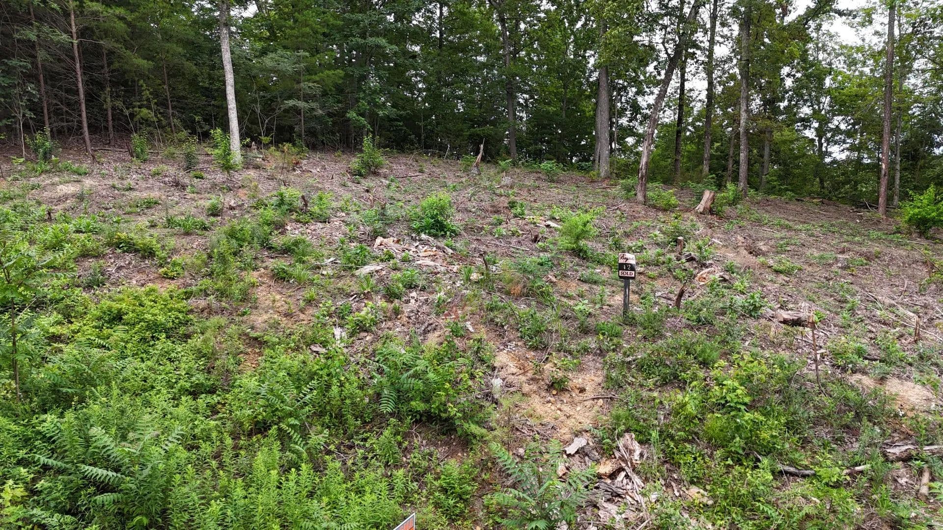 Property from Lot 42 Bayside Boulevard - KW - Bean Station, Tennessee, 37708