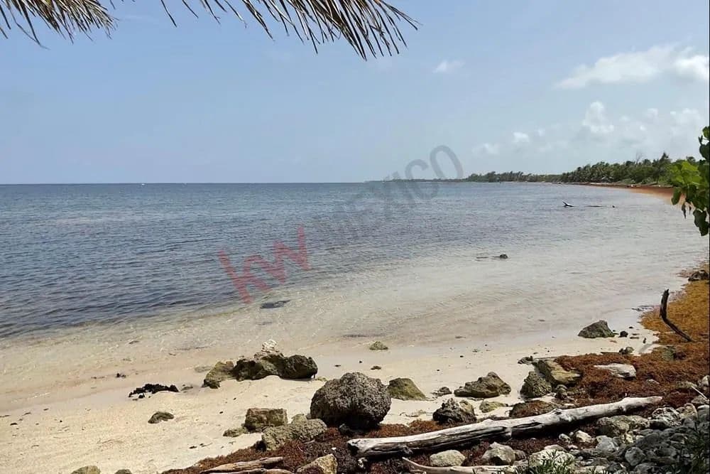 Venta de Terreno residencial frente al Mar en Rio Indio - Mahahual - land for sale
