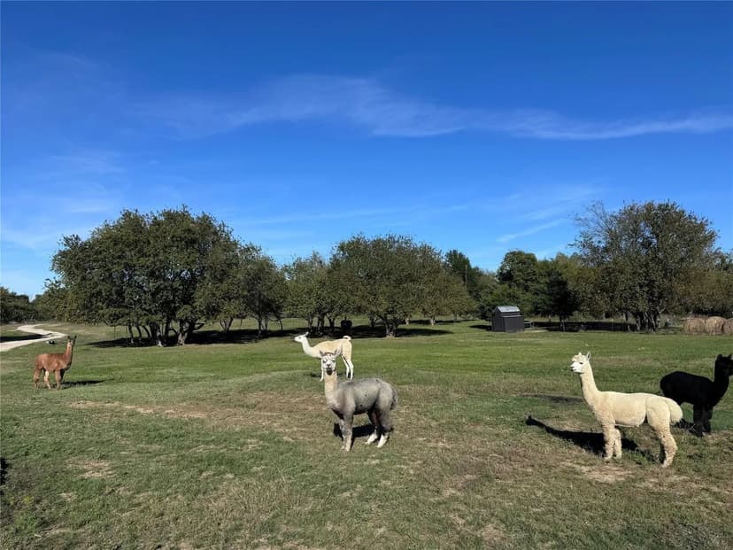 Property from 4081 FM 2736 #C - KW