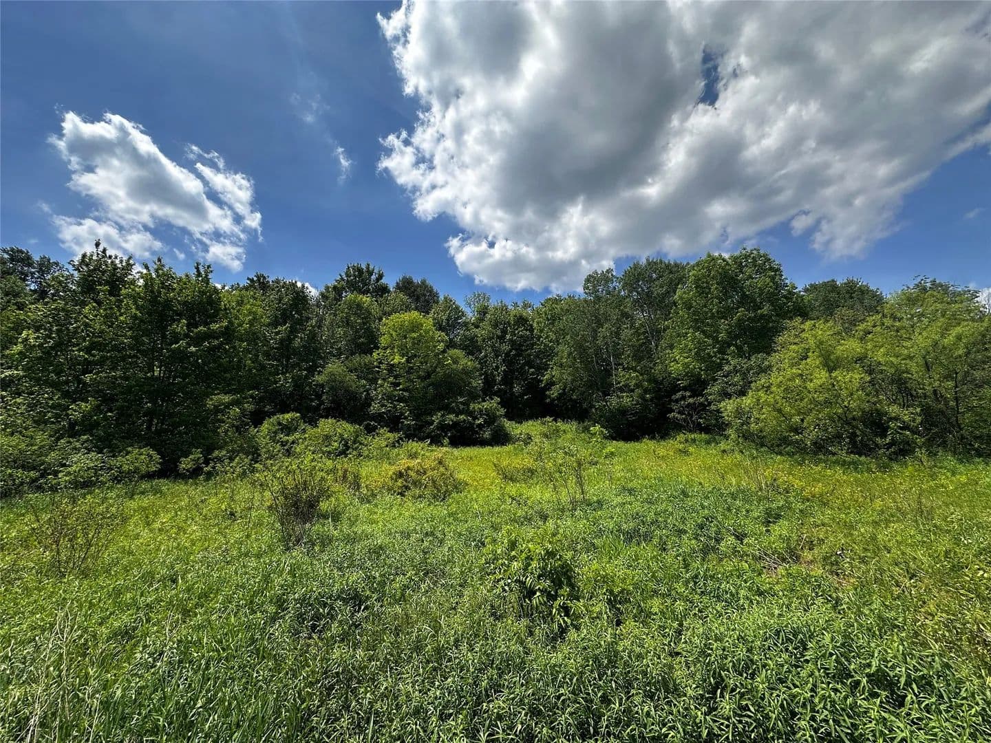 Property from 15710 BEAVERDAM Road - KW - Union City, Pennsylvania, 16442