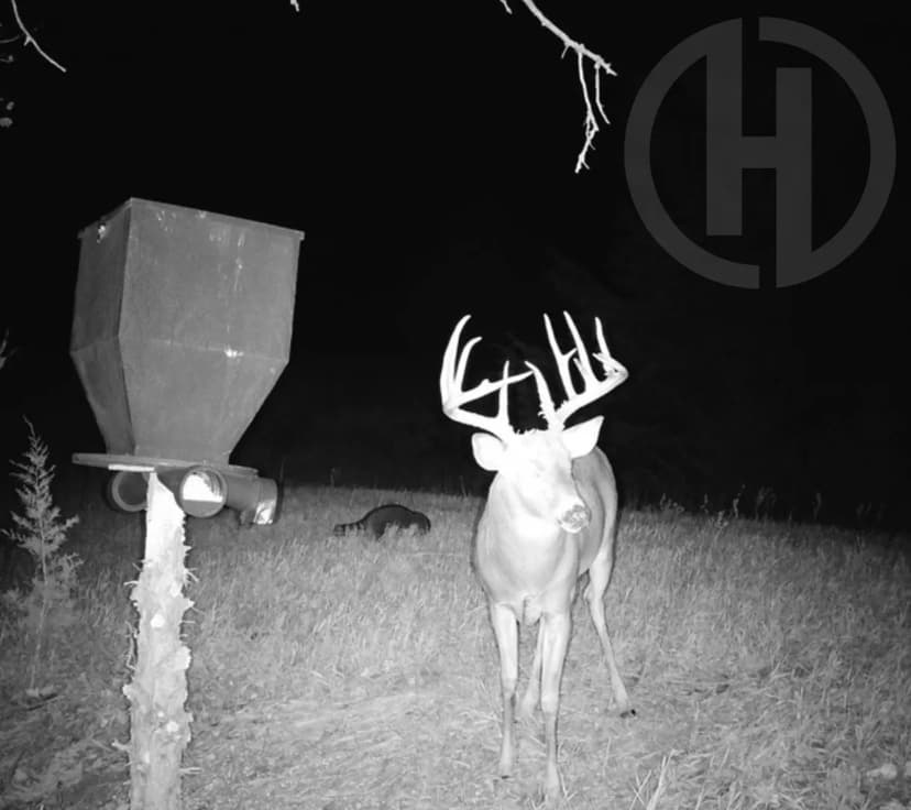 80 Acres of Land in Jewell County, KS for Sale