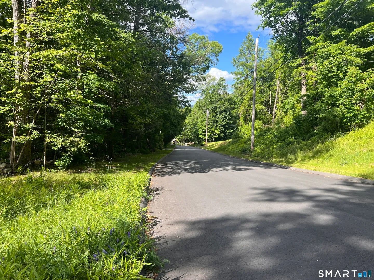 Property from Cotton Hill Road - KW - New Hartford, Connecticut, 6057