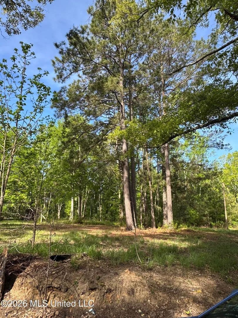 Property from 0 Stump Road - KW - Gloster, Mississippi, 39638