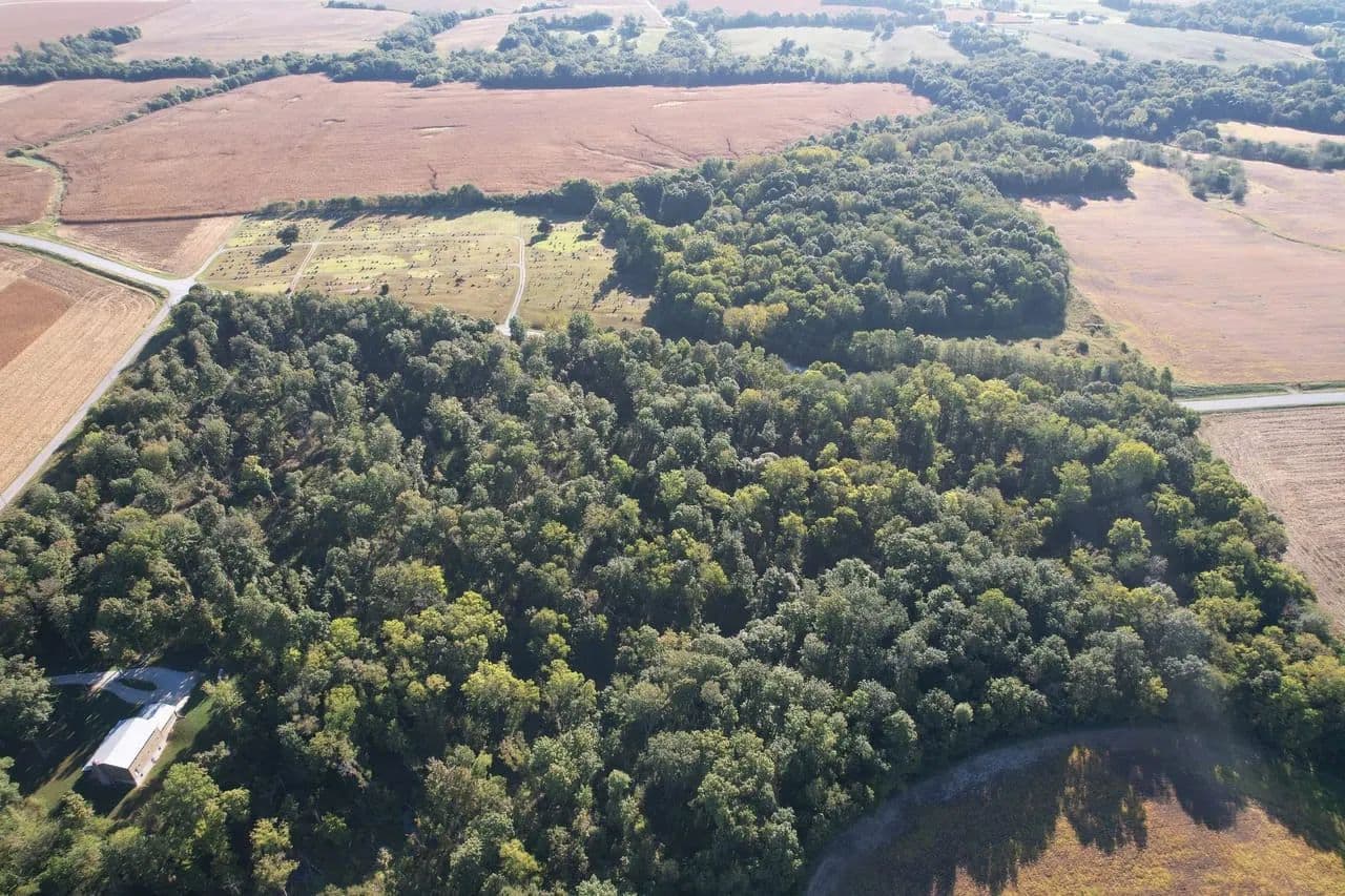 Herrick 25 Acres - Herrick, Illinois, 62431